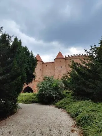 Old Town Nest