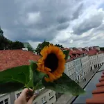 Old Town Nest * وارسو